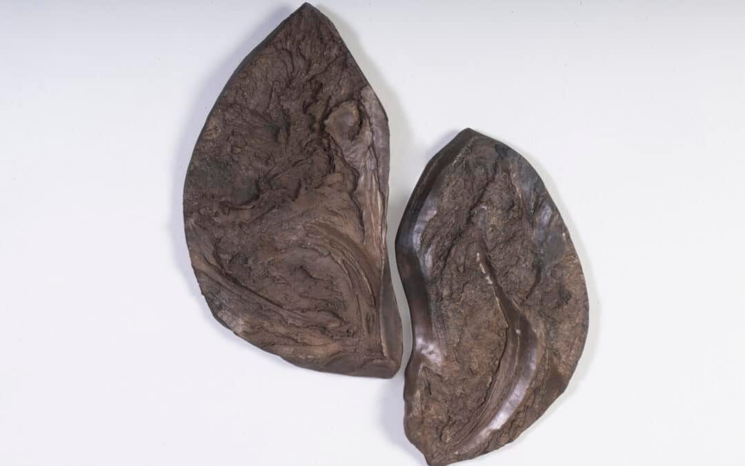 La consistance du vent 6