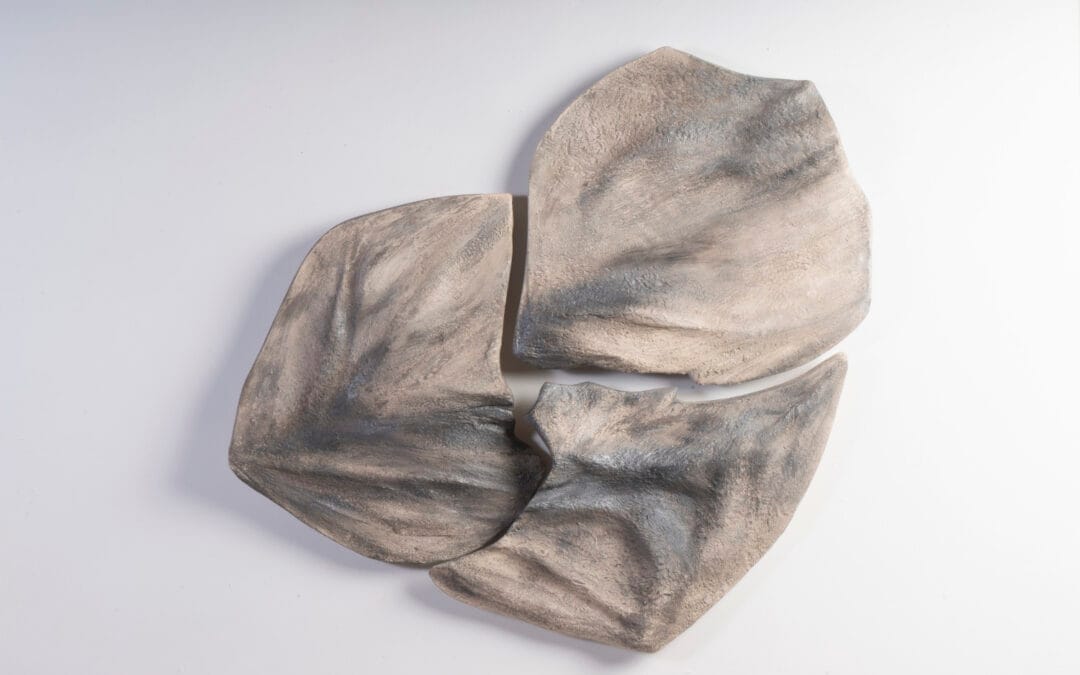 La consistance du vent 1