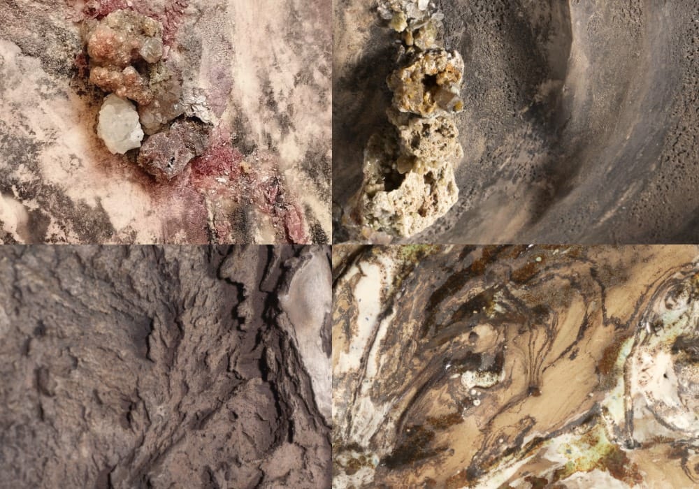 composition détails œuvres murales claire frechet